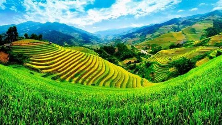 Hotspot Matrix: Biến Diễn biến bầu cử Tổng thống thành cơ hội marketing đột phá